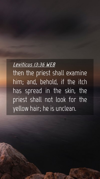 Picture 04 - Leviticus 13:36 WEB Mobile Phone Wallpaper - then the priest shall examine him; and, behold, - Mobile Bible Verse Wallpaper