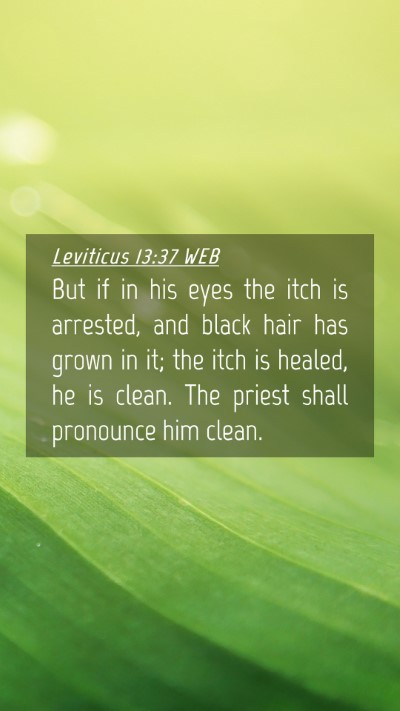Picture 04 - Leviticus 13:37 WEB Mobile Phone Wallpaper - But if in his eyes the itch is arrested, and - Mobile Bible Verse Wallpaper