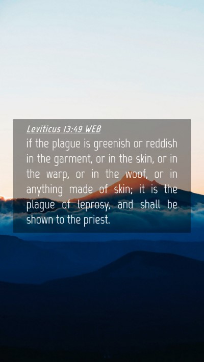 Picture 04 - Leviticus 13:49 WEB Mobile Phone Wallpaper - if the plague is greenish or reddish in the - Mobile Bible Verse Wallpaper