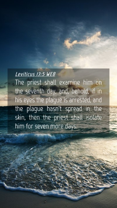 Picture 04 - Leviticus 13:5 WEB Mobile Phone Wallpaper - The priest shall examine him on the seventh day, - Mobile Bible Verse Wallpaper