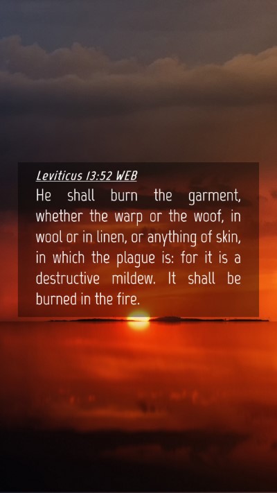 Picture 04 - Leviticus 13:52 WEB Mobile Phone Wallpaper - He shall burn the garment, whether the warp or - Mobile Bible Verse Wallpaper