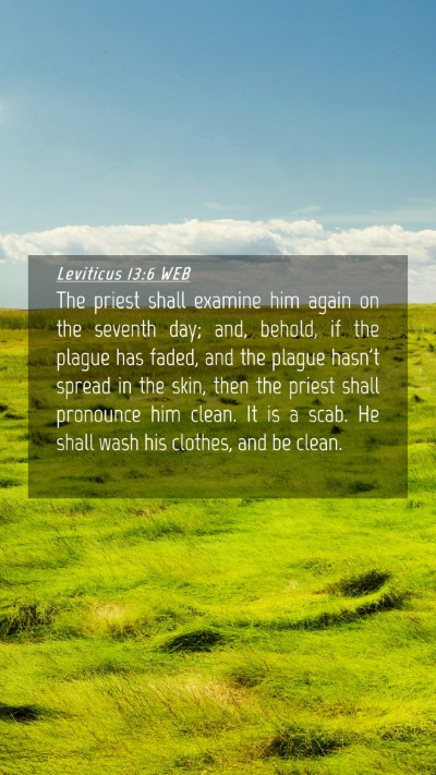 Picture 04 - Leviticus 13:6 WEB Mobile Phone Wallpaper - The priest shall examine him again on the seventh - Mobile Bible Verse Wallpaper
