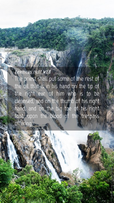 Picture 04 - Leviticus 14:17 WEB Mobile Phone Wallpaper - The priest shall put some of the rest of the oil - Mobile Bible Verse Wallpaper
