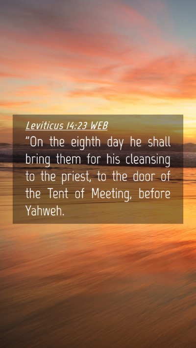 Picture 04 - Leviticus 14:23 WEB Mobile Phone Wallpaper - 
