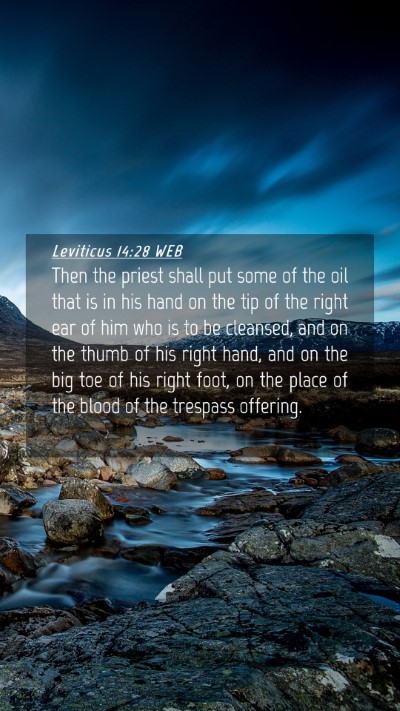 Picture 04 - Leviticus 14:28 WEB Mobile Phone Wallpaper - Then the priest shall put some of the oil that is - Mobile Bible Verse Wallpaper
