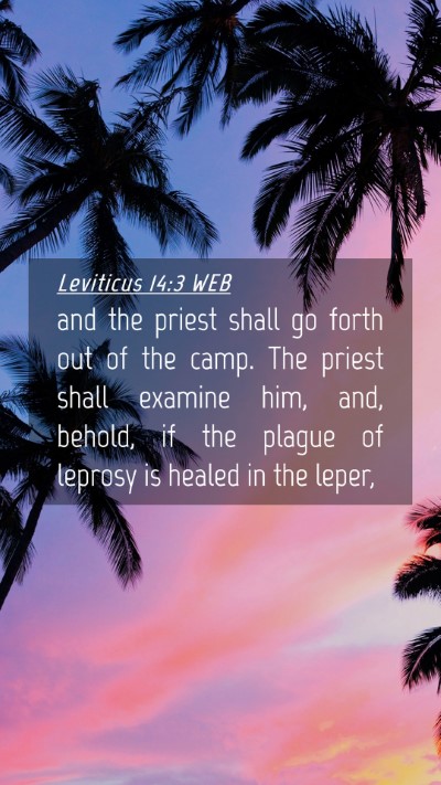Picture 04 - Leviticus 14:3 WEB Mobile Phone Wallpaper - and the priest shall go forth out of the camp. - Mobile Bible Verse Wallpaper