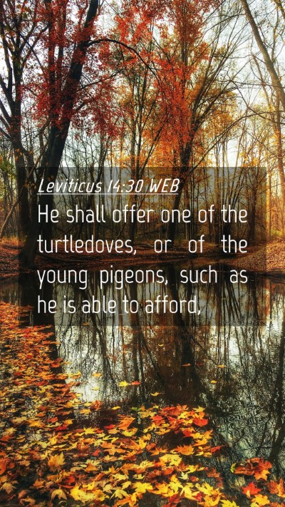 Picture 04 - Leviticus 14:30 WEB Mobile Phone Wallpaper - He shall offer one of the turtledoves, or of the - Mobile Bible Verse Wallpaper