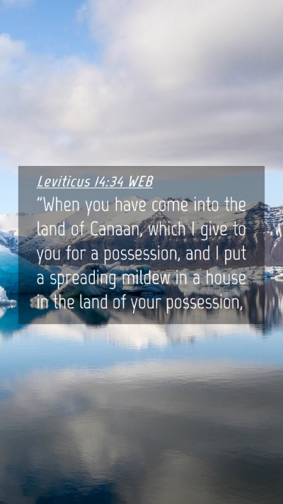 Picture 04 - Leviticus 14:34 WEB Mobile Phone Wallpaper - 
