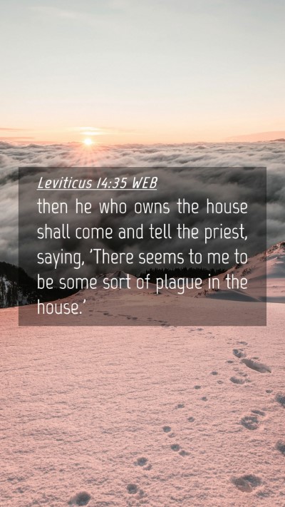 Picture 04 - Leviticus 14:35 WEB Mobile Phone Wallpaper - then he who owns the house shall come and tell - Mobile Bible Verse Wallpaper