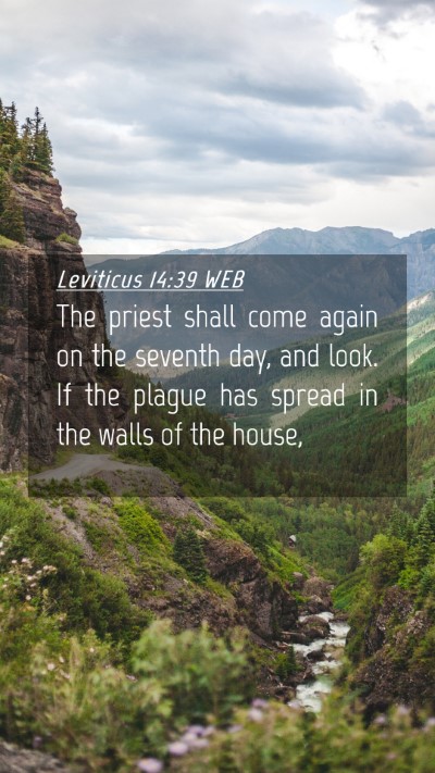 Picture 04 - Leviticus 14:39 WEB Mobile Phone Wallpaper - The priest shall come again on the seventh day, - Mobile Bible Verse Wallpaper