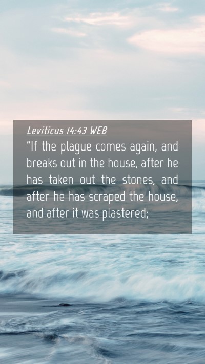 Picture 04 - Leviticus 14:43 WEB Mobile Phone Wallpaper - 
