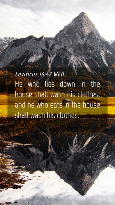Picture 04 - Leviticus 14:47 WEB Mobile Phone Wallpaper - He who lies down in the house shall wash his - Mobile Bible Verse Wallpaper