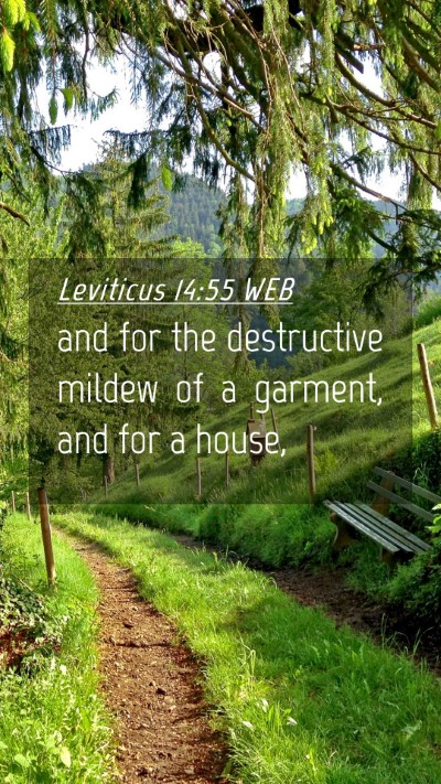 Picture 04 - Leviticus 14:55 WEB Mobile Phone Wallpaper - and for the destructive mildew of a garment, and - Mobile Bible Verse Wallpaper