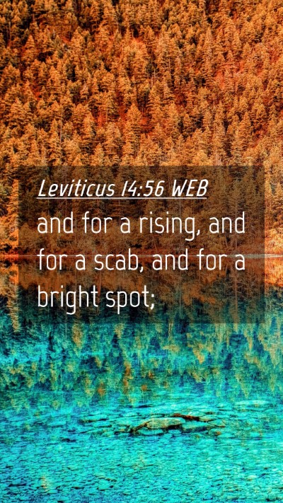 Picture 04 - Leviticus 14:56 WEB Mobile Phone Wallpaper - and for a rising, and for a scab, and for a - Mobile Bible Verse Wallpaper