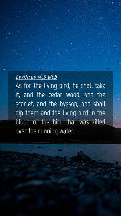 Picture 04 - Leviticus 14:6 WEB Mobile Phone Wallpaper - As for the living bird, he shall take it, and the - Mobile Bible Verse Wallpaper