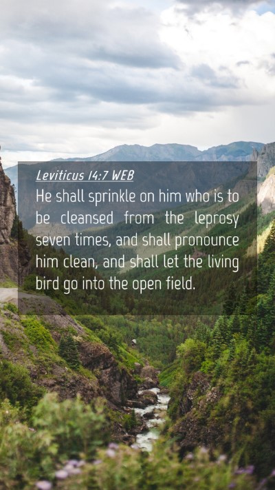 Picture 04 - Leviticus 14:7 WEB Mobile Phone Wallpaper - He shall sprinkle on him who is to be cleansed - Mobile Bible Verse Wallpaper