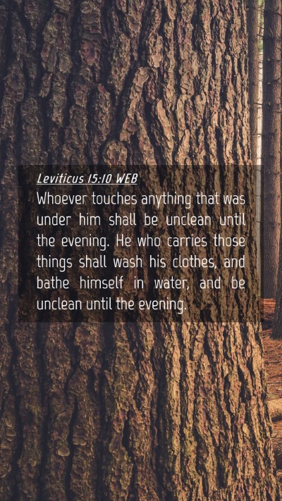 Picture 04 - Leviticus 15:10 WEB Mobile Phone Wallpaper - Whoever touches anything that was under him shall - Mobile Bible Verse Wallpaper