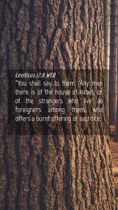 Picture 04 - Leviticus 17:8 WEB Mobile Phone Wallpaper - 