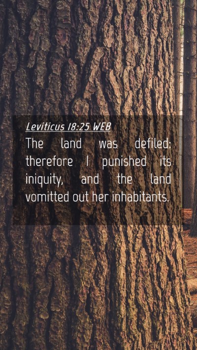 Picture 04 - Leviticus 18:25 WEB Mobile Phone Wallpaper - The land was defiled: therefore I punished its - Mobile Bible Verse Wallpaper