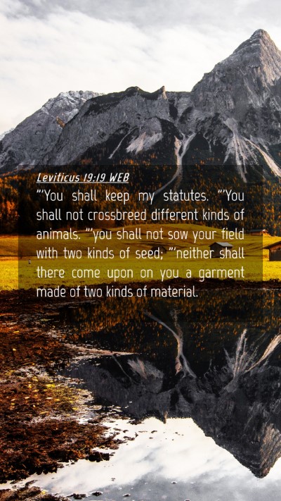 Picture 04 - Leviticus 19:19 WEB Mobile Phone Wallpaper - 