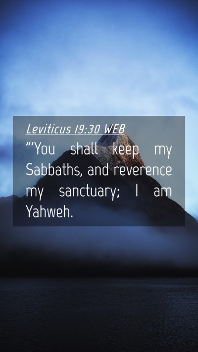 Picture 04 - Leviticus 19:30 WEB Mobile Phone Wallpaper - 