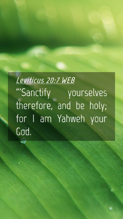 Picture 04 - Leviticus 20:7 WEB Mobile Phone Wallpaper - 