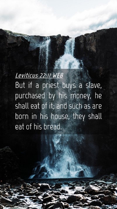 Picture 04 - Leviticus 22:11 WEB Mobile Phone Wallpaper - But if a priest buys a slave, purchased by his - Mobile Bible Verse Wallpaper