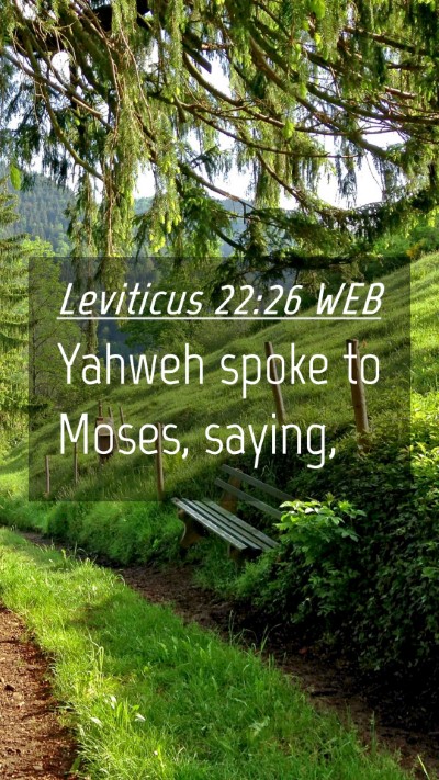 Picture 04 - Leviticus 22:26 WEB Mobile Phone Wallpaper - Yahweh spoke to Moses, - Mobile Bible Verse Wallpaper