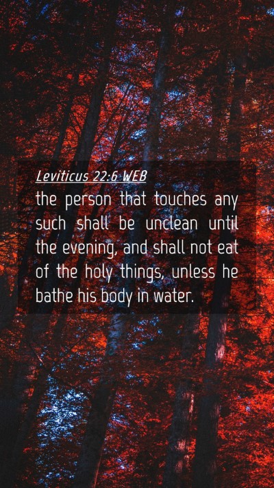 Picture 04 - Leviticus 22:6 WEB Mobile Phone Wallpaper - the person that touches any such shall be unclean - Mobile Bible Verse Wallpaper