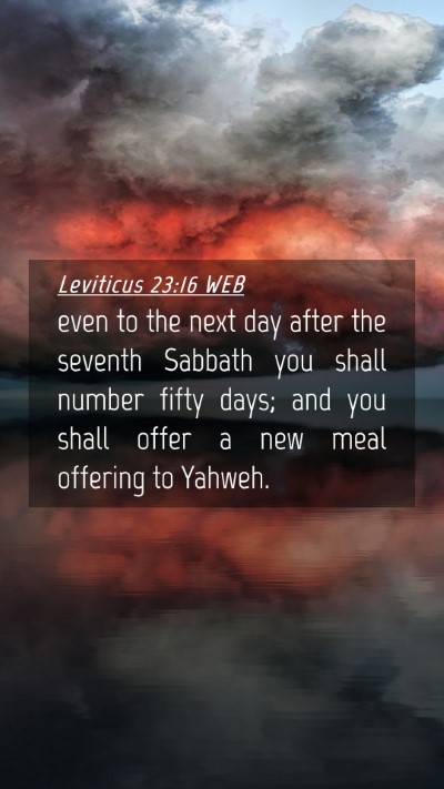 Picture 04 - Leviticus 23:16 WEB Mobile Phone Wallpaper - even to the next day after the seventh Sabbath - Mobile Bible Verse Wallpaper