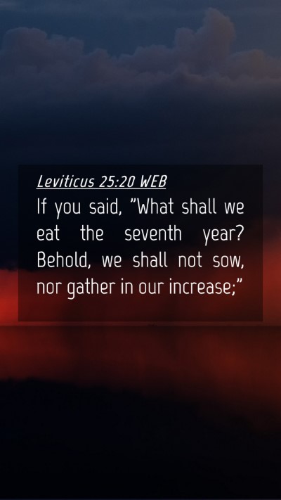 Picture 04 - Leviticus 25:20 WEB Mobile Phone Wallpaper - If you said, 