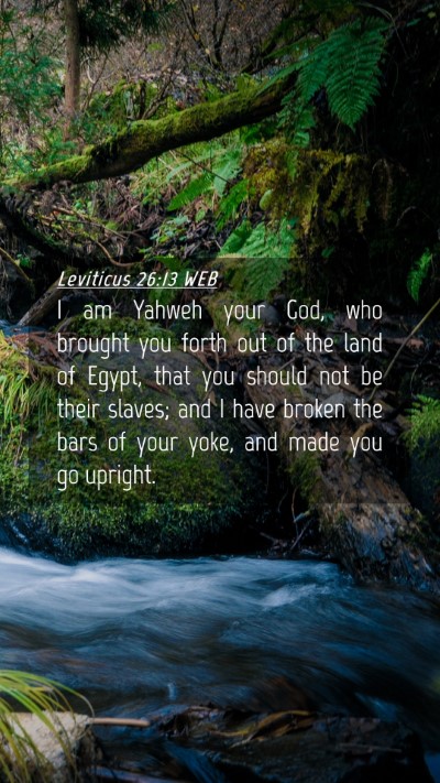 Picture 04 - Leviticus 26:13 WEB Mobile Phone Wallpaper - I am Yahweh your God, who brought you forth out - Mobile Bible Verse Wallpaper