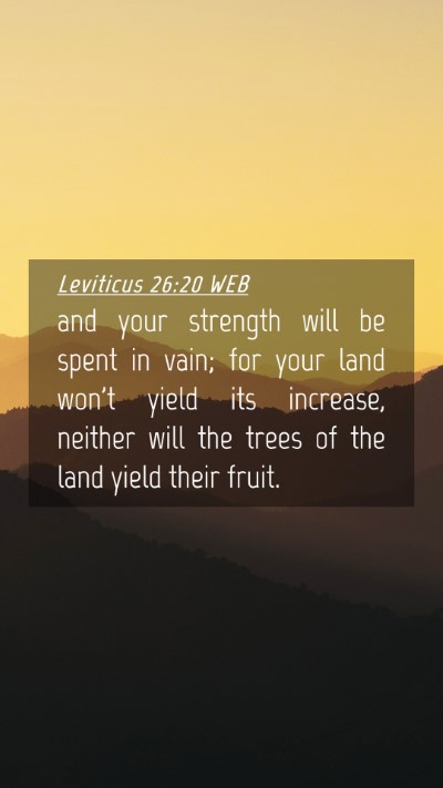 Picture 04 - Leviticus 26:20 WEB Mobile Phone Wallpaper - and your strength will be spent in vain; for your - Mobile Bible Verse Wallpaper
