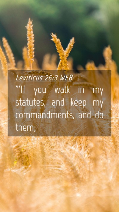Picture 04 - Leviticus 26:3 WEB Mobile Phone Wallpaper - 