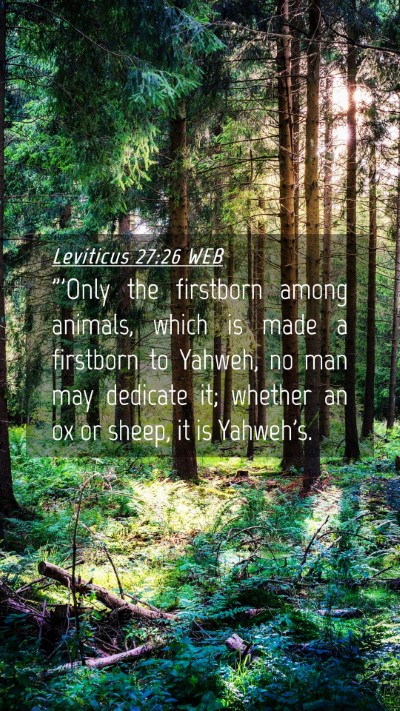 Picture 04 - Leviticus 27:26 WEB Mobile Phone Wallpaper - 