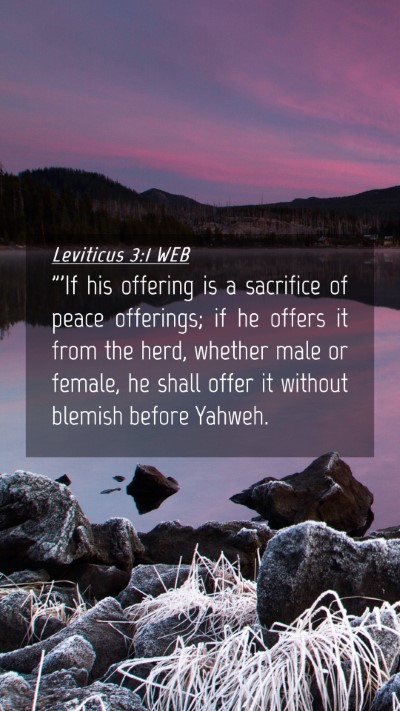 Picture 04 - Leviticus 3:1 WEB Mobile Phone Wallpaper - 