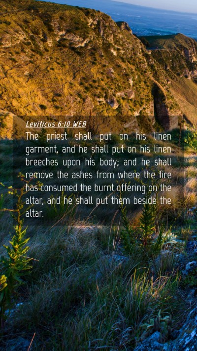 Picture 04 - Leviticus 6:10 WEB Mobile Phone Wallpaper - The priest shall put on his linen garment, and he - Mobile Bible Verse Wallpaper