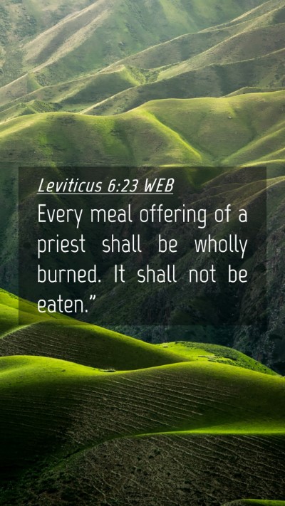 Picture 04 - Leviticus 6:23 WEB Mobile Phone Wallpaper - Every meal offering of a priest shall be wholly - Mobile Bible Verse Wallpaper