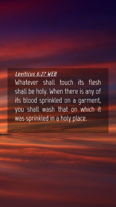 Picture 04 - Leviticus 6:27 WEB Mobile Phone Wallpaper - Whatever shall touch its flesh shall be holy. - Mobile Bible Verse Wallpaper