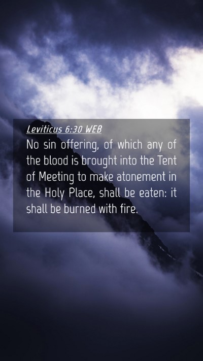 Picture 04 - Leviticus 6:30 WEB Mobile Phone Wallpaper - No sin offering, of which any of the blood is - Mobile Bible Verse Wallpaper