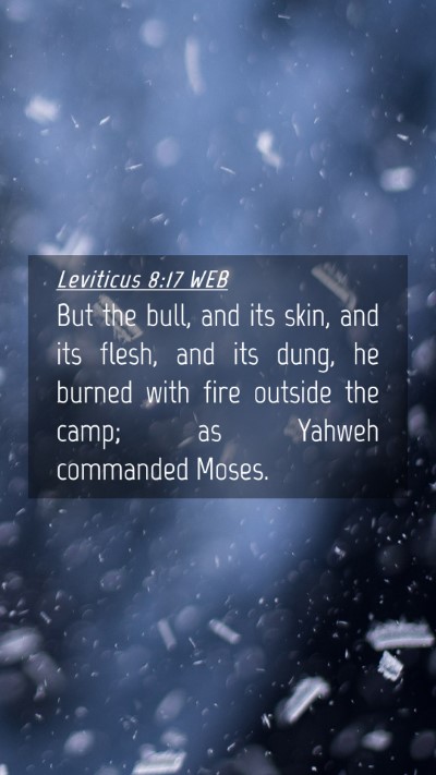 Picture 04 - Leviticus 8:17 WEB Mobile Phone Wallpaper - But the bull, and its skin, and its flesh, and - Mobile Bible Verse Wallpaper