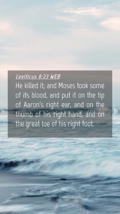 Picture 04 - Leviticus 8:23 WEB Mobile Phone Wallpaper - He killed it; and Moses took some of its blood, - Mobile Bible Verse Wallpaper