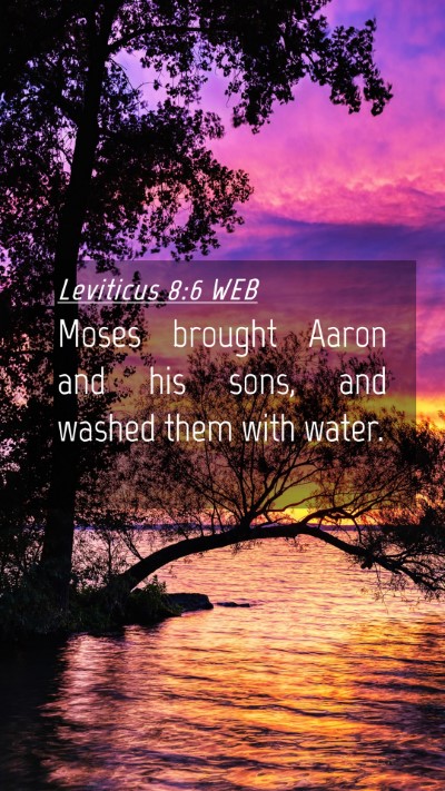 Picture 04 - Leviticus 8:6 WEB Mobile Phone Wallpaper - Moses brought Aaron and his sons, and washed them - Mobile Bible Verse Wallpaper