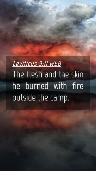 Picture 04 - Leviticus 9:11 WEB Mobile Phone Wallpaper - The flesh and the skin he burned with fire - Mobile Bible Verse Wallpaper