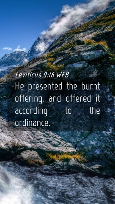 Picture 04 - Leviticus 9:16 WEB Mobile Phone Wallpaper - He presented the burnt offering, and offered it - Mobile Bible Verse Wallpaper