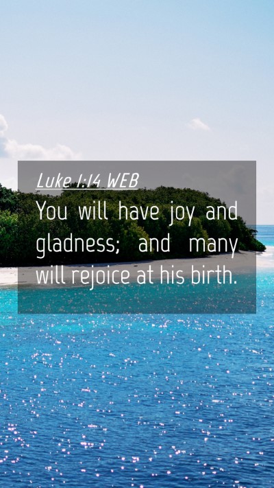 Picture 04 - Luke 1:14 WEB Mobile Phone Wallpaper - You will have joy and gladness; and many will - Mobile Bible Verse Wallpaper