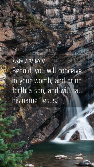 Picture 04 - Luke 1:31 WEB Mobile Phone Wallpaper - Behold, you will conceive in your womb, and bring - Mobile Bible Verse Wallpaper