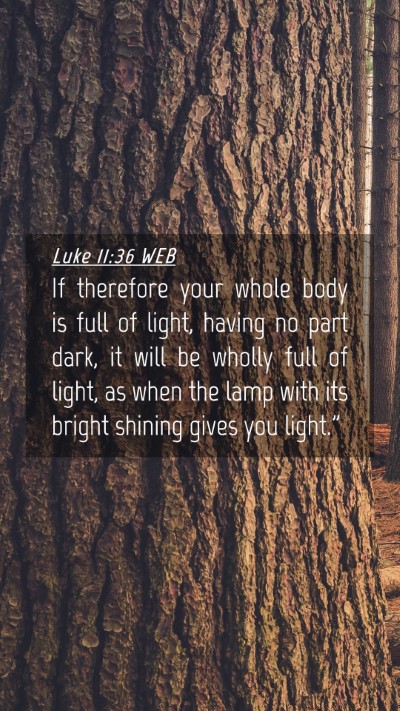 Picture 04 - Luke 11:36 WEB Mobile Phone Wallpaper - If therefore your whole body is full of light, - Mobile Bible Verse Wallpaper