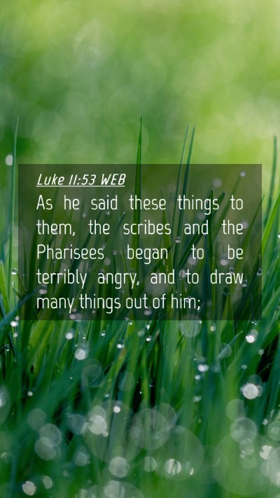Picture 04 - Luke 11:53 WEB Mobile Phone Wallpaper - As he said these things to them, the scribes and - Mobile Bible Verse Wallpaper