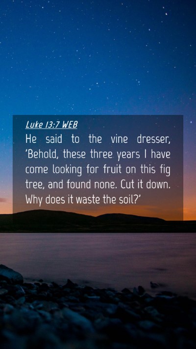 Picture 04 - Luke 13:7 WEB Mobile Phone Wallpaper - He said to the vine dresser, 'Behold, these three - Mobile Bible Verse Wallpaper